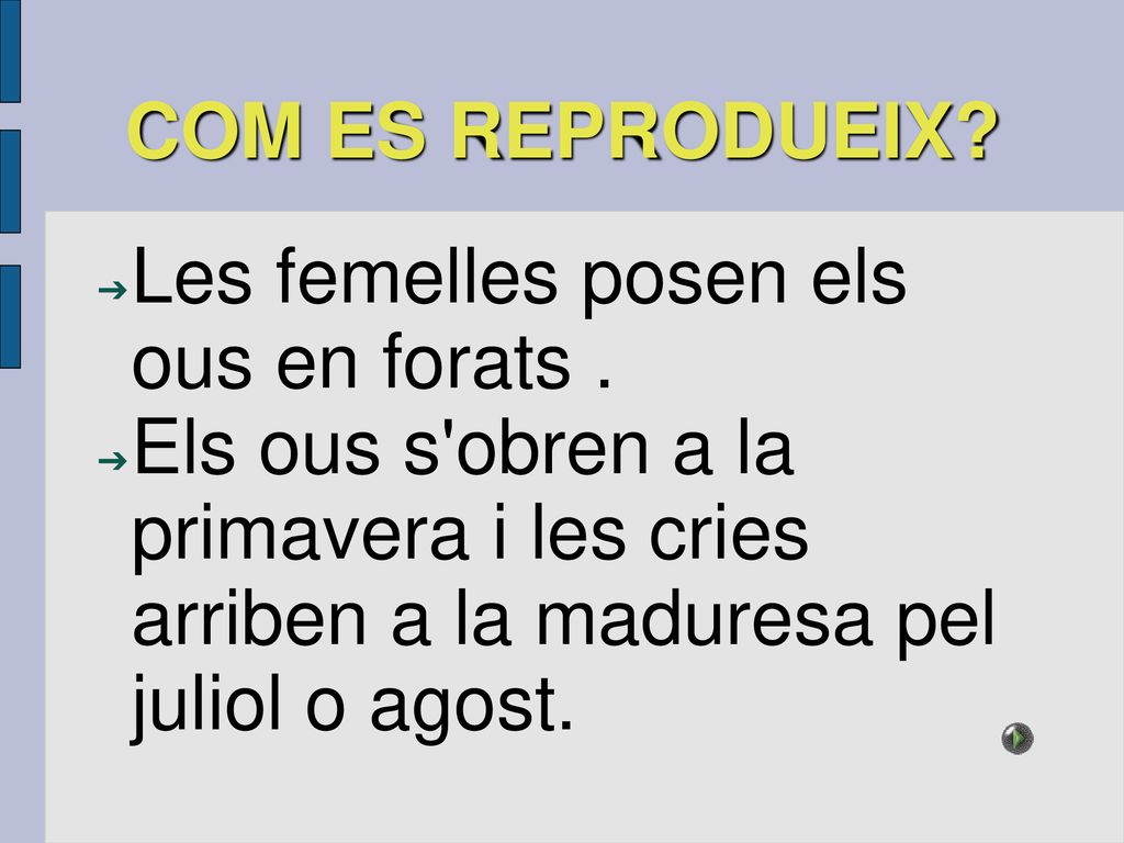 COM ES REPRODUEIX. Les femelles posen els ous en forats .