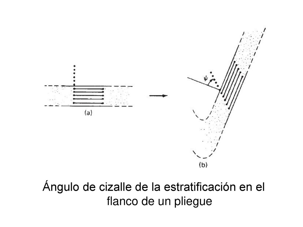 Ángulo de cizalle de la estratificación en el flanco de un pliegue
