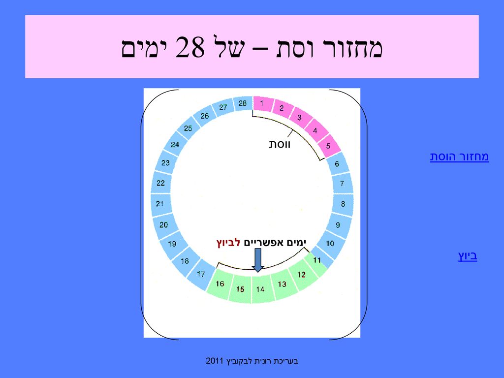 מחזור וסת – של 28 ימים ווסת מחזור הוסת ביוץ ימים אפשריים לביוץ