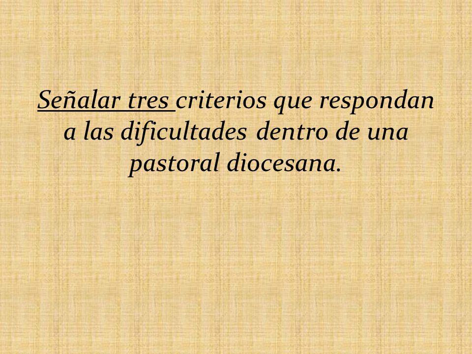 Señalar tres criterios que respondan a las dificultades dentro de una pastoral diocesana.