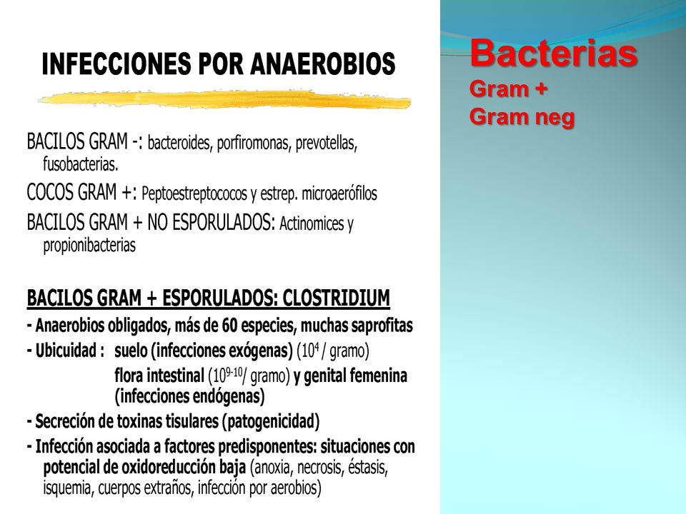Bacterias Gram + Gram neg