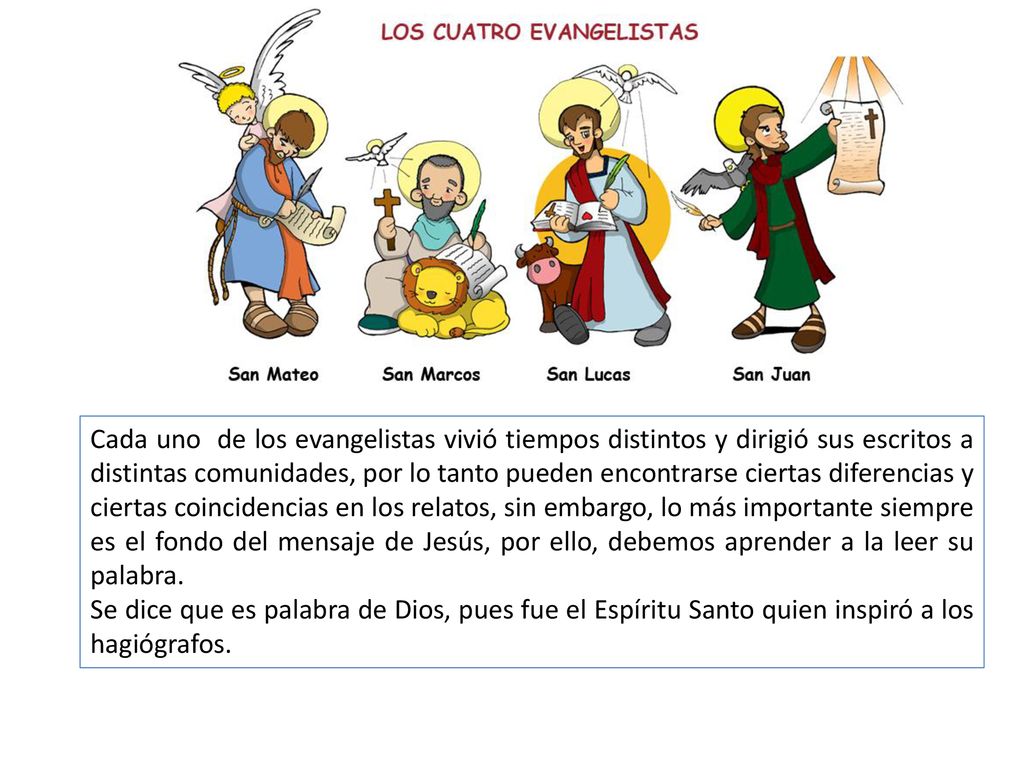 Cada uno de los evangelistas vivió tiempos distintos y dirigió sus escritos a distintas comunidades, por lo tanto pueden encontrarse ciertas diferencias y ciertas coincidencias en los relatos, sin embargo, lo más importante siempre es el fondo del mensaje de Jesús, por ello, debemos aprender a la leer su palabra.