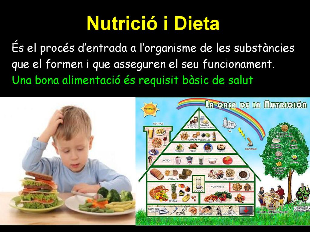 Nutrició i Dieta És el procés d’entrada a l’organisme de les substàncies que el formen i que asseguren el seu funcionament.