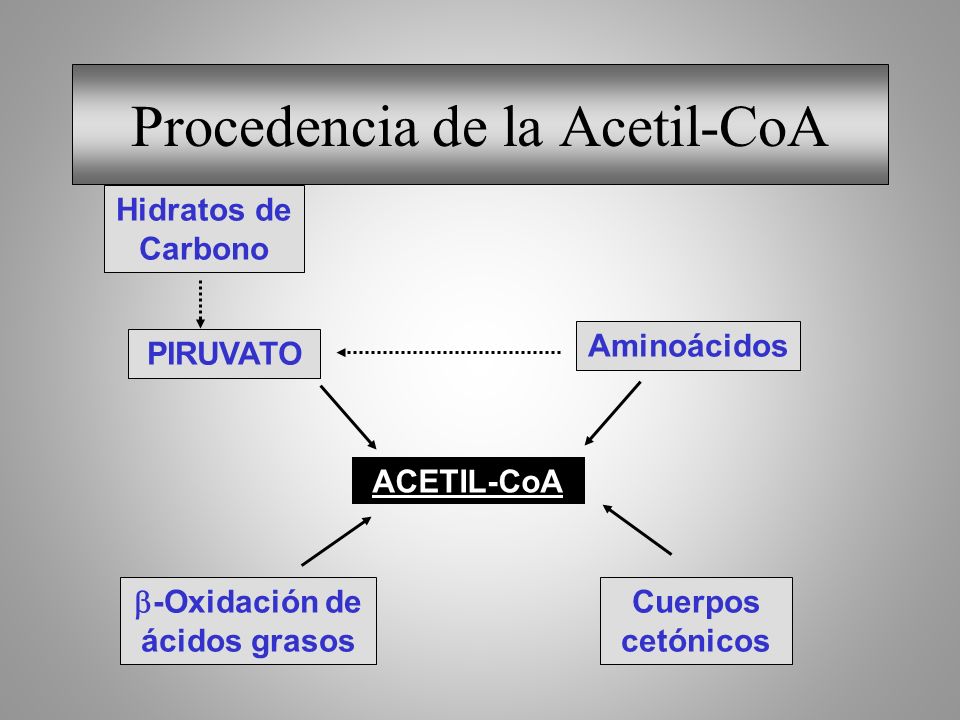 Procedencia de la Acetil-CoA