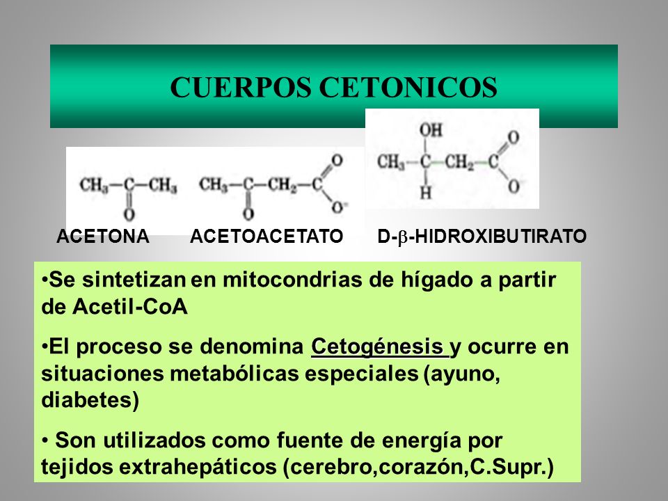 CUERPOS CETONICOS ACETONA ACETOACETATO D-b-HIDROXIBUTIRATO. Se sintetizan en mitocondrias de hígado a partir de Acetil-CoA.