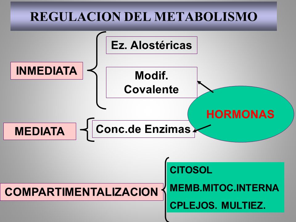 REGULACION DEL METABOLISMO