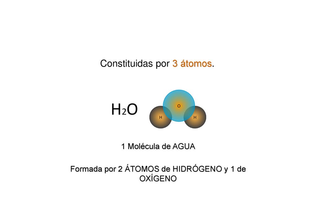 H2O Constituidas por 3 átomos. 1 Molécula de AGUA