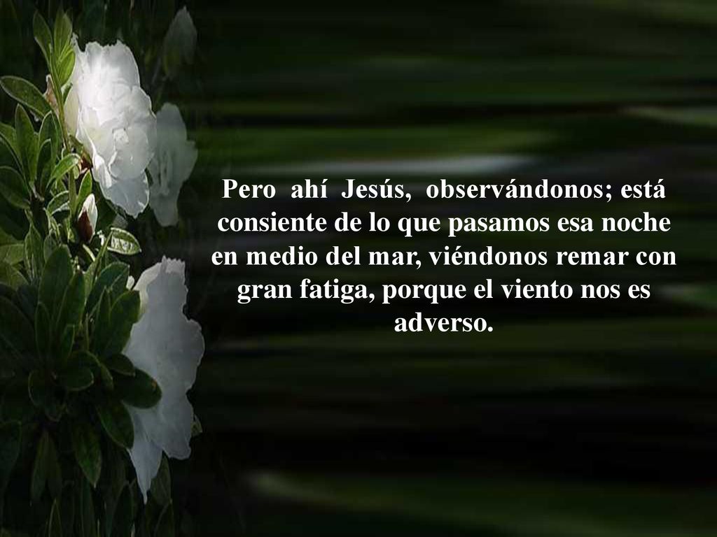 Pero ahí Jesús, observándonos; está consiente de lo que pasamos esa noche en medio del mar, viéndonos remar con gran fatiga, porque el viento nos es adverso.