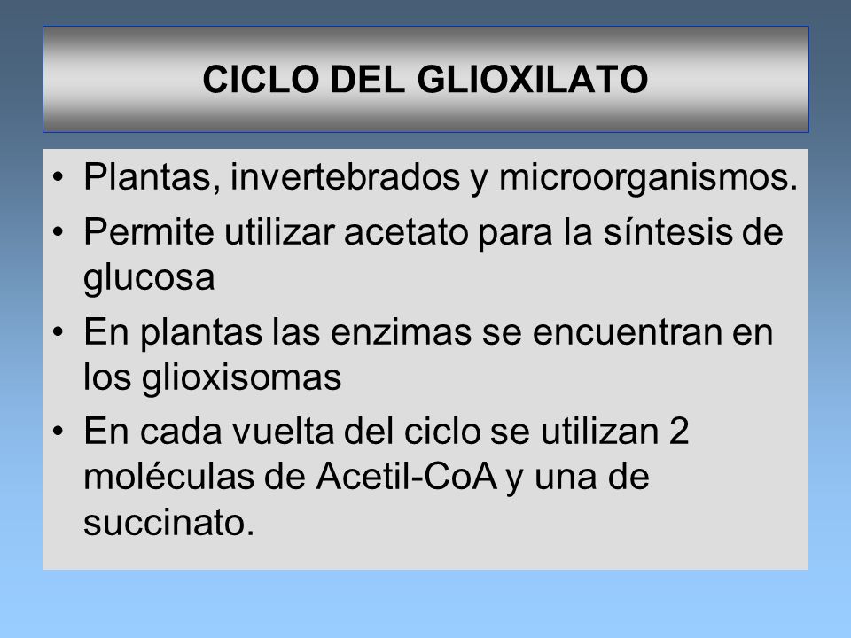 CICLO DEL GLIOXILATO Plantas, invertebrados y microorganismos. Permite utilizar acetato para la síntesis de glucosa.