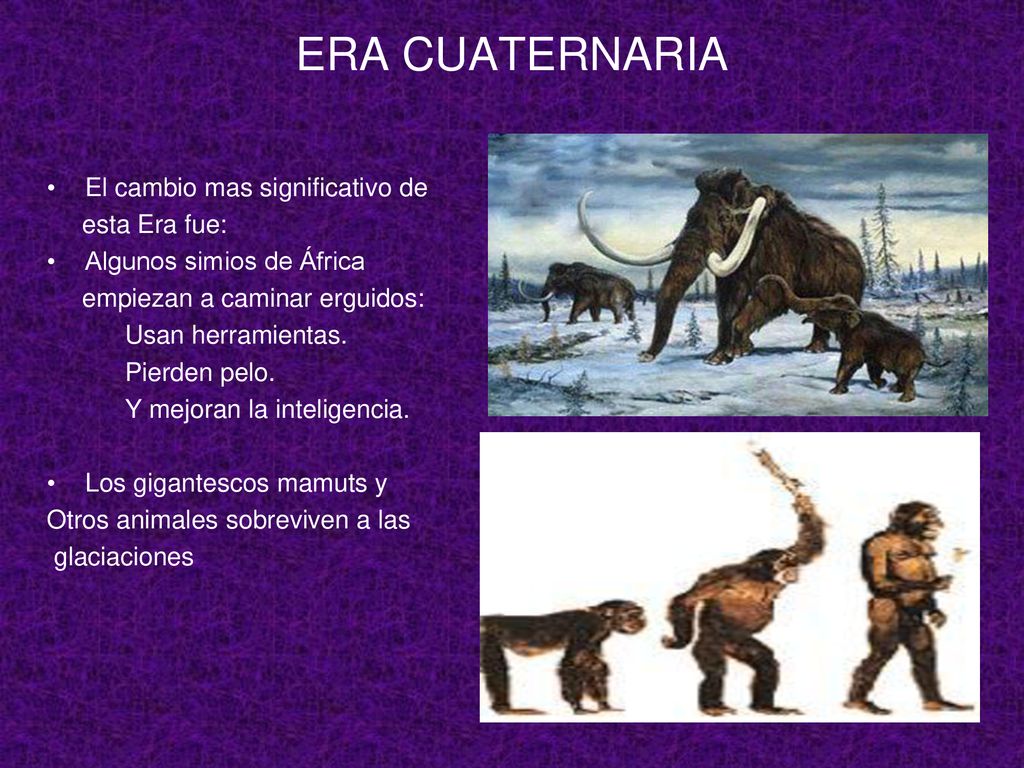 ERA CUATERNARIA El cambio mas significativo de esta Era fue: