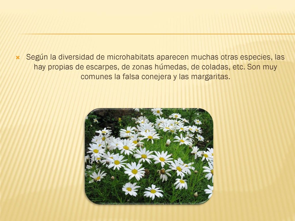 Según la diversidad de microhabitats aparecen muchas otras especies, las hay propias de escarpes, de zonas húmedas, de coladas, etc.