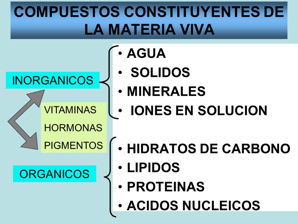 COMPUESTOS CONSTITUYENTES DE LA MATERIA VIVA