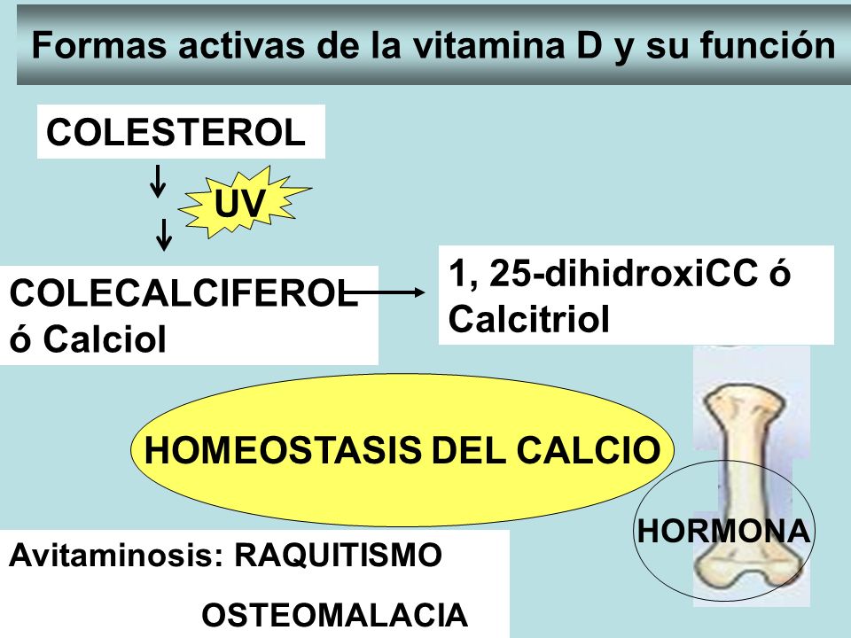 Formas activas de la vitamina D y su función