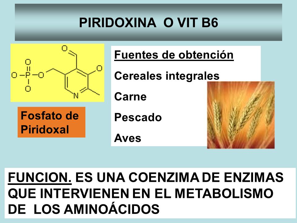 PIRIDOXINA O VIT B6 Fuentes de obtención. Cereales integrales. Carne. Pescado. Aves. Fosfato de.