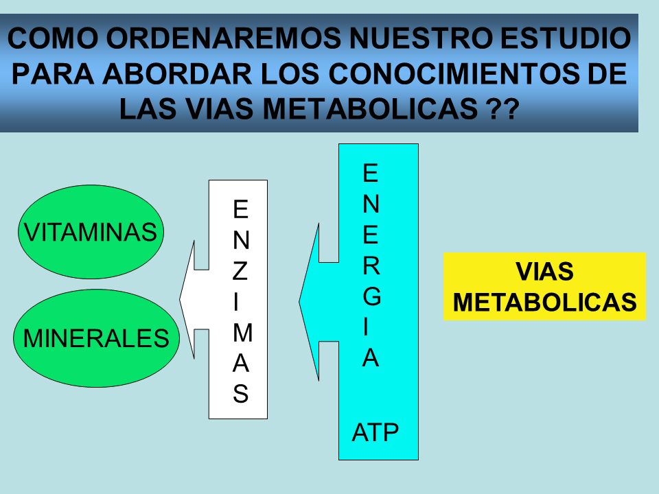 COMO ORDENAREMOS NUESTRO ESTUDIO PARA ABORDAR LOS CONOCIMIENTOS DE LAS VIAS METABOLICAS