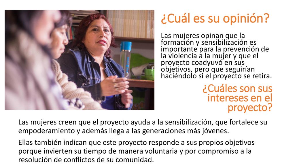 ¿Cuál es su opinión ¿Cuáles son sus intereses en el proyecto