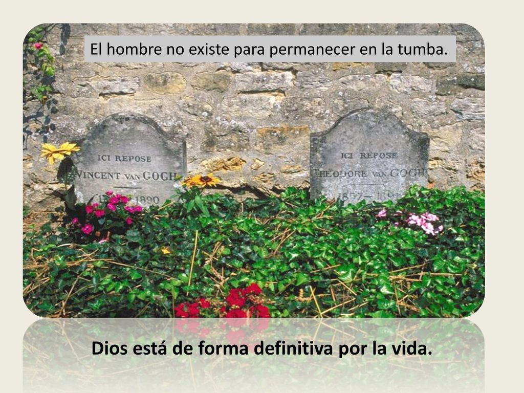 Dios está de forma definitiva por la vida.