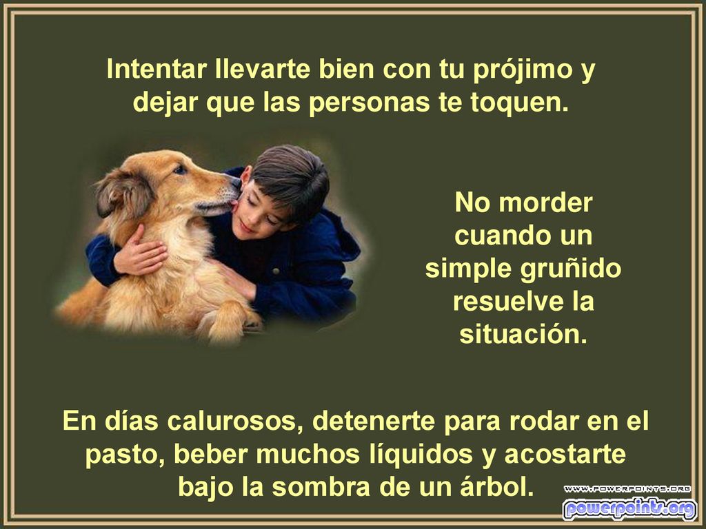 No morder cuando un simple gruñido resuelve la situación.