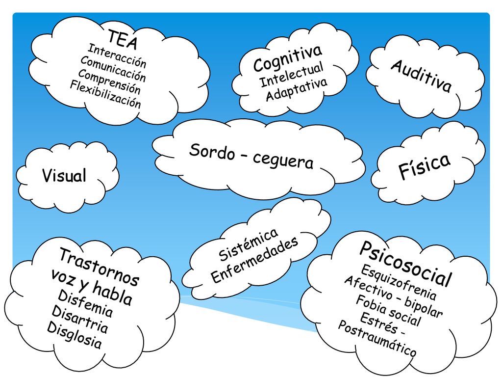 Física Psicosocial TEA Cognitiva Auditiva Sordo – ceguera Visual