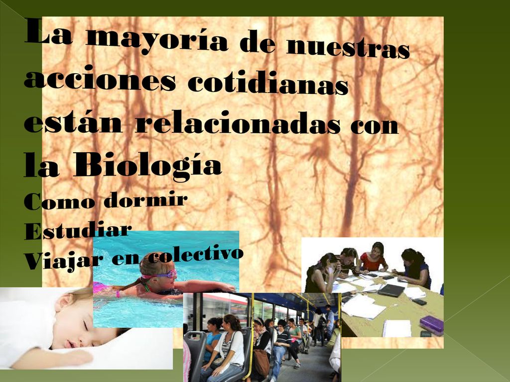 La mayoría de nuestras acciones cotidianas están relacionadas con