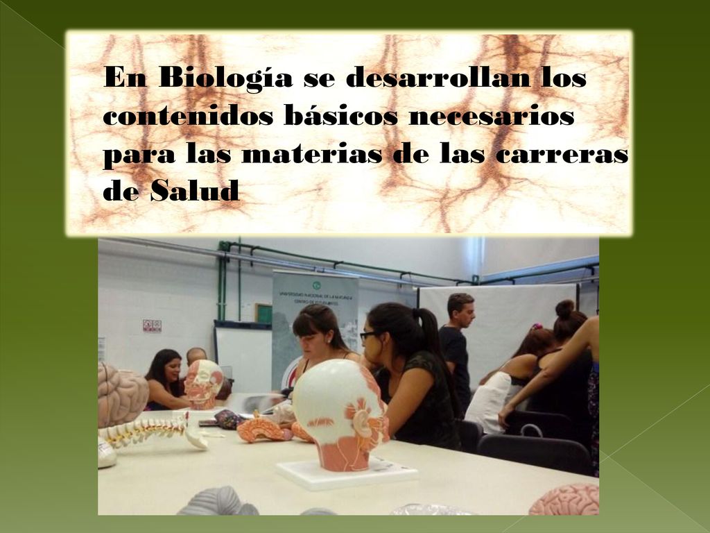 En Biología se desarrollan los contenidos básicos necesarios para las materias de las carreras de Salud