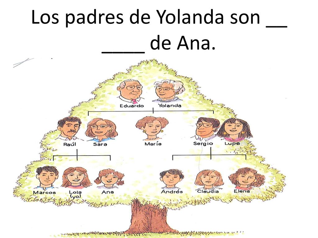 Los padres de Yolanda son __ ____ de Ana.