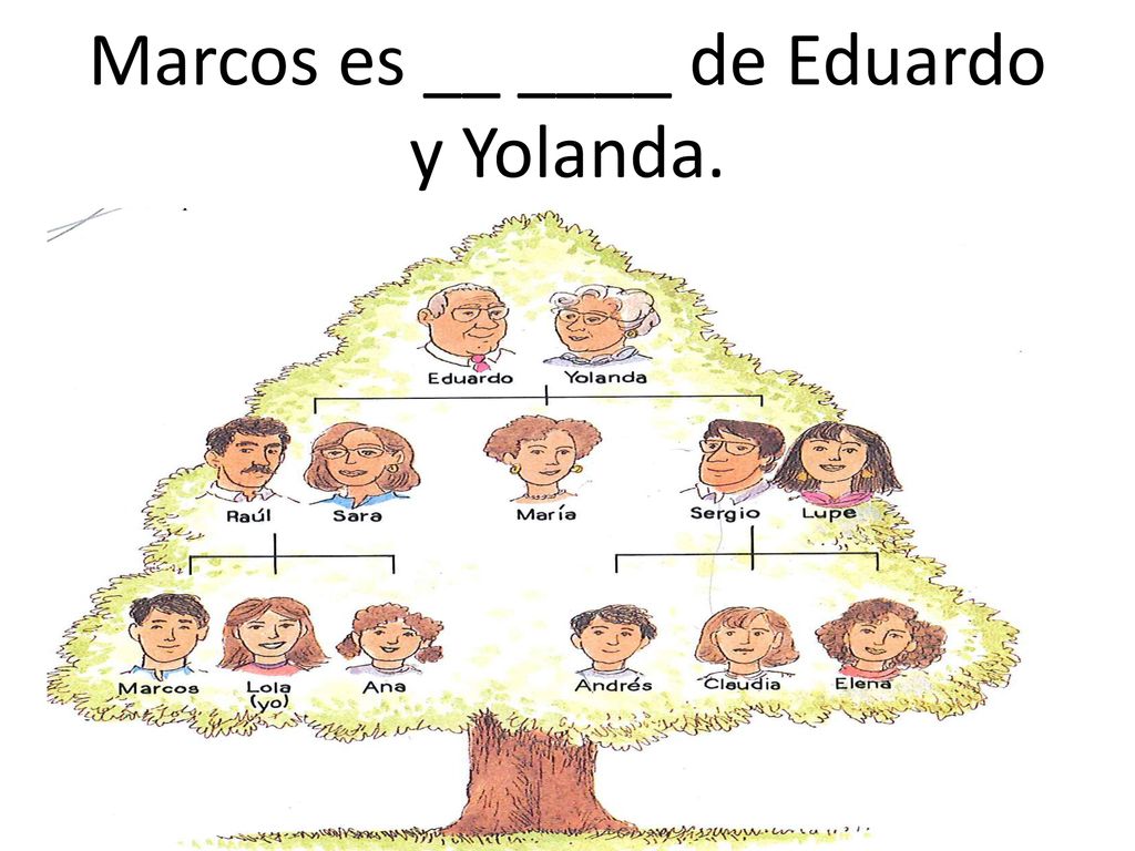 Marcos es __ ____ de Eduardo y Yolanda.