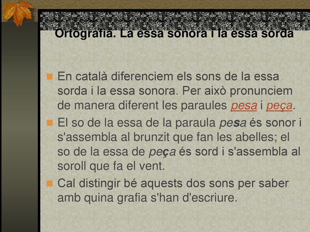 Ortografia. La essa sonora i la essa sorda