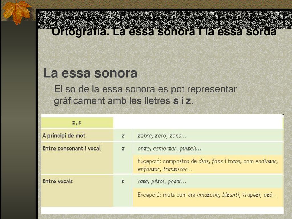 Ortografia. La essa sonora i la essa sorda