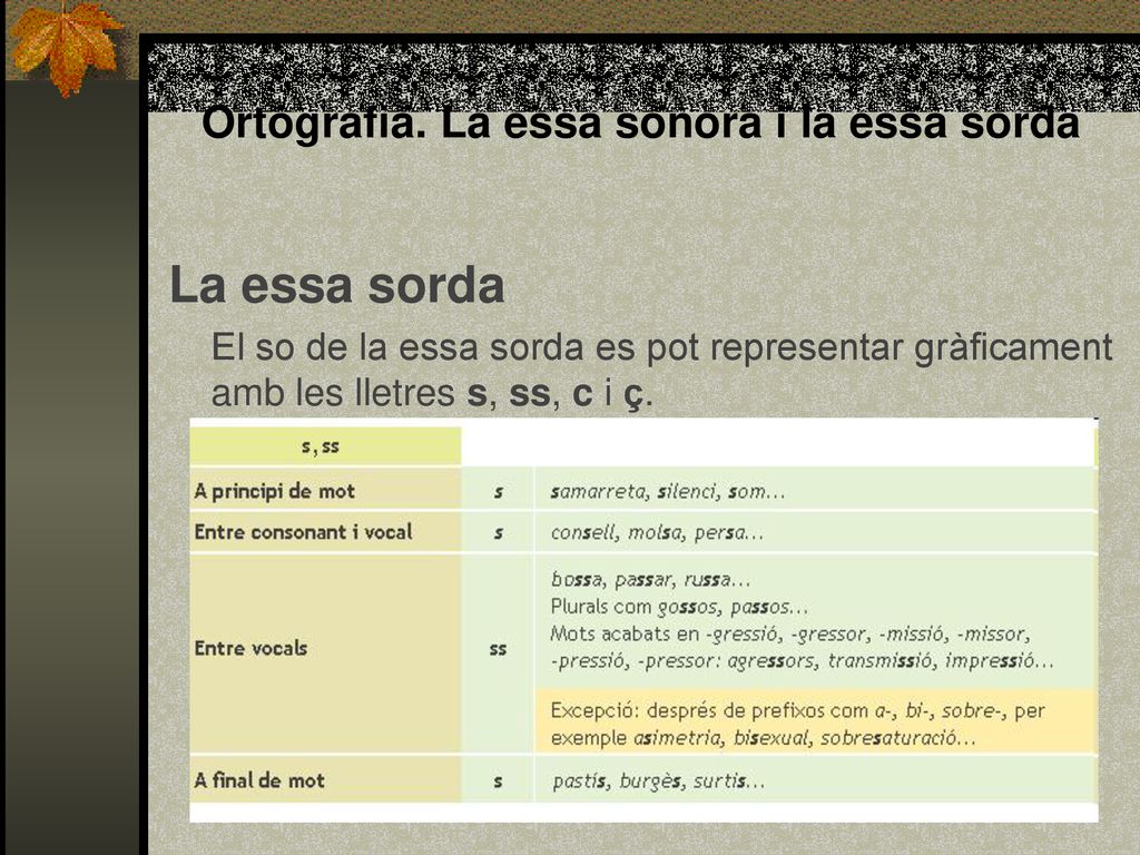 Ortografia. La essa sonora i la essa sorda