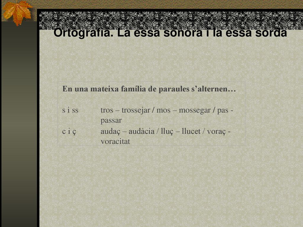Ortografia. La essa sonora i la essa sorda