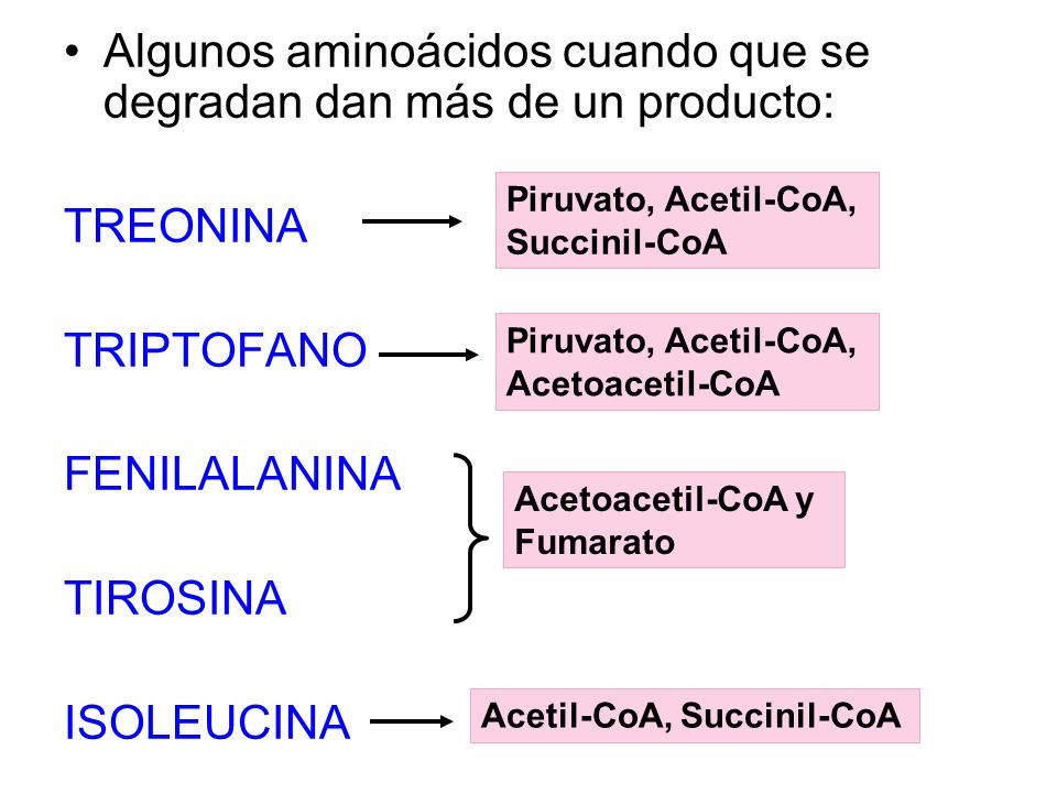 Algunos aminoácidos cuando que se degradan dan más de un producto: