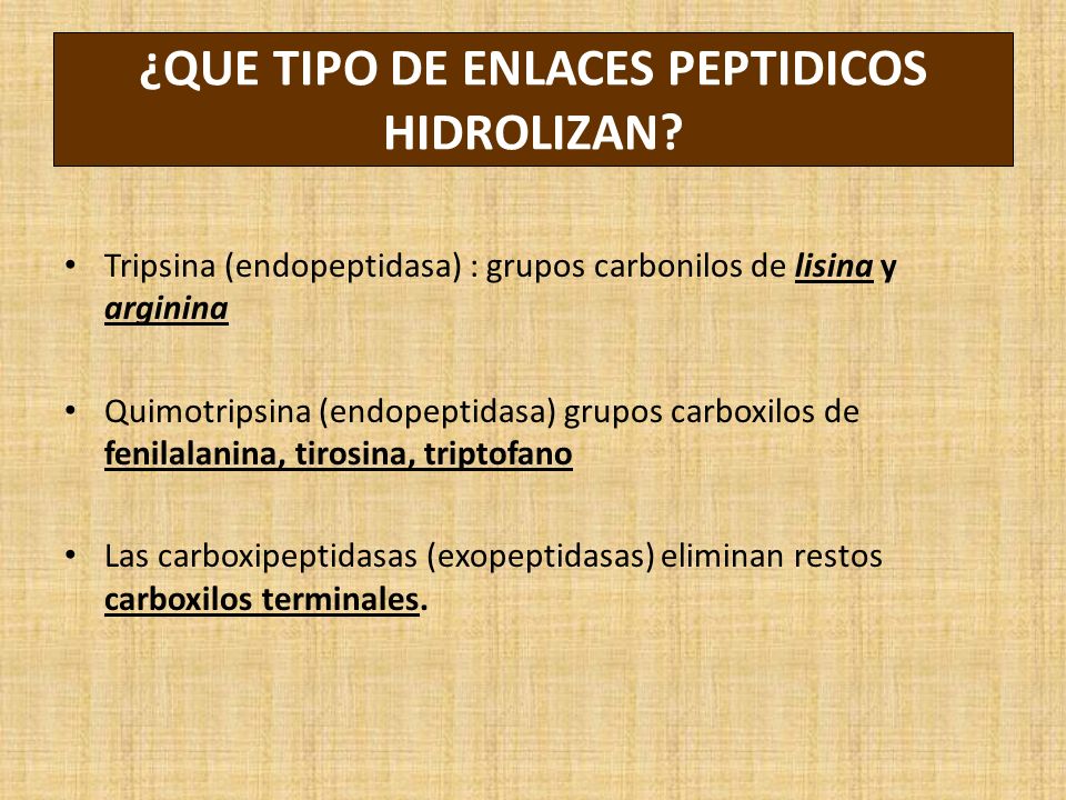 ¿QUE TIPO DE ENLACES PEPTIDICOS HIDROLIZAN