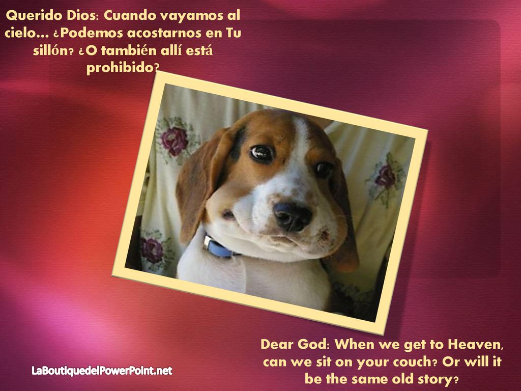 Querido Dios: Cuando vayamos al cielo… ¿Podemos acostarnos en Tu sillón ¿O también allí está prohibido
