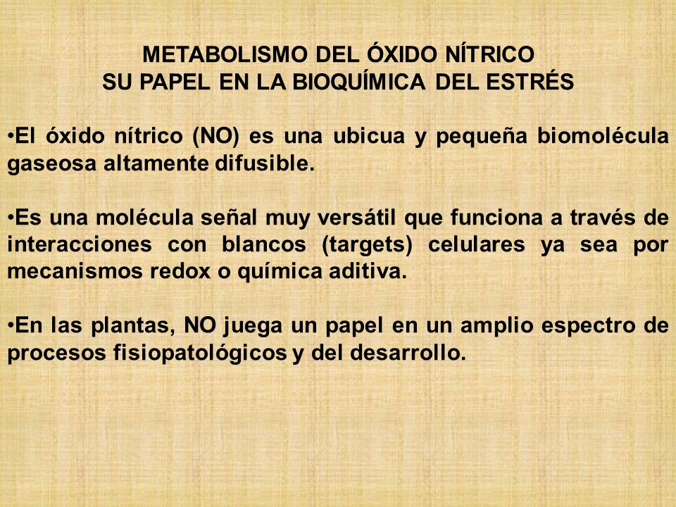 METABOLISMO DEL ÓXIDO NÍTRICO SU PAPEL EN LA BIOQUÍMICA DEL ESTRÉS