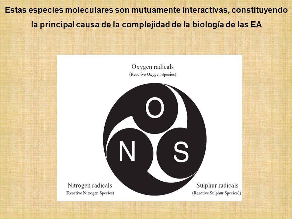 Estas especies moleculares son mutuamente interactivas, constituyendo la principal causa de la complejidad de la biología de las EA