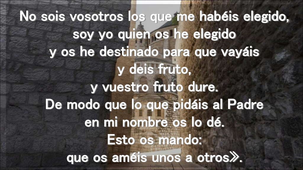 No sois vosotros los que me habéis elegido, soy yo quien os he elegido y os he destinado para que vayáis y deis fruto, y vuestro fruto dure.