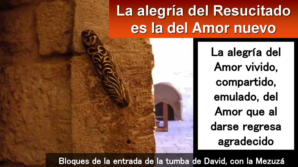 La alegría del Resucitado es la del Amor nuevo