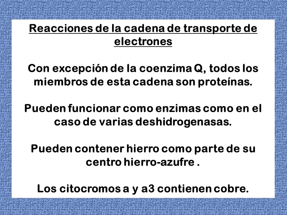 Reacciones de la cadena de transporte de electrones Con excepción de la coenzima Q, todos los miembros de esta cadena son proteínas.