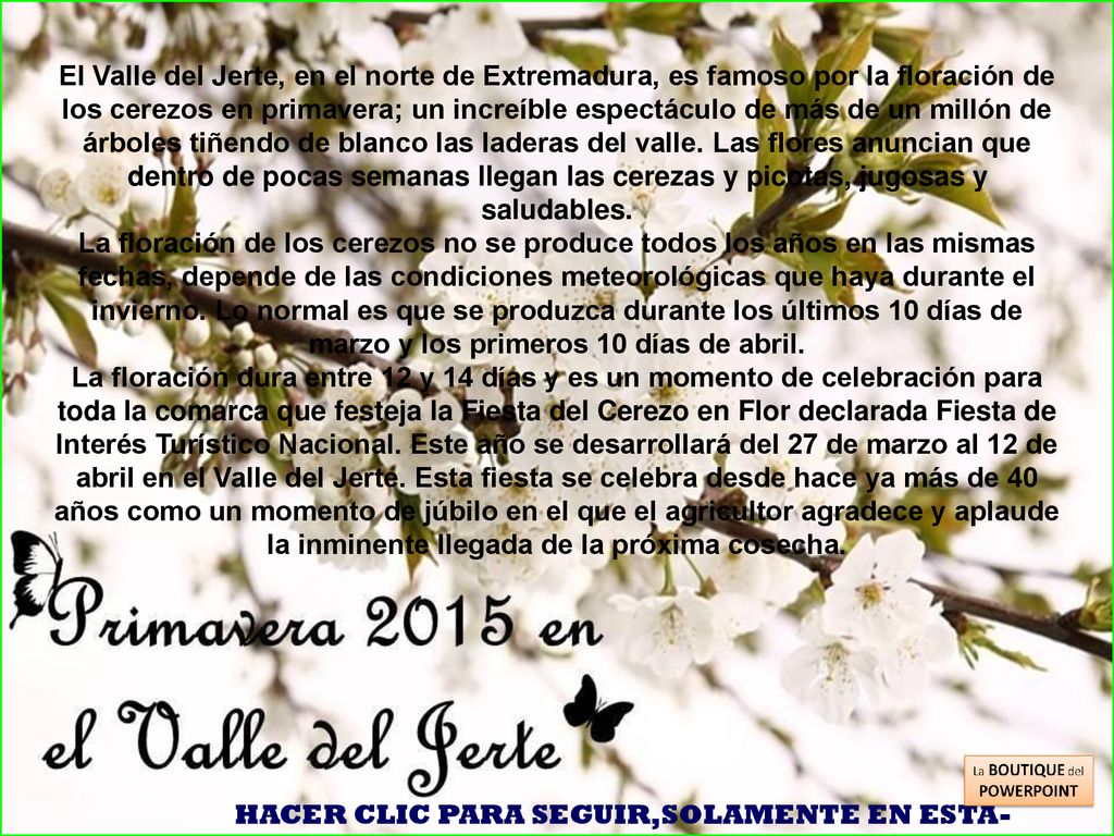 El Valle del Jerte, en el norte de Extremadura, es famoso por la floración de los cerezos en primavera; un increíble espectáculo de más de un millón de árboles tiñendo de blanco las laderas del valle. Las flores anuncian que dentro de pocas semanas llegan las cerezas y picotas, jugosas y saludables.