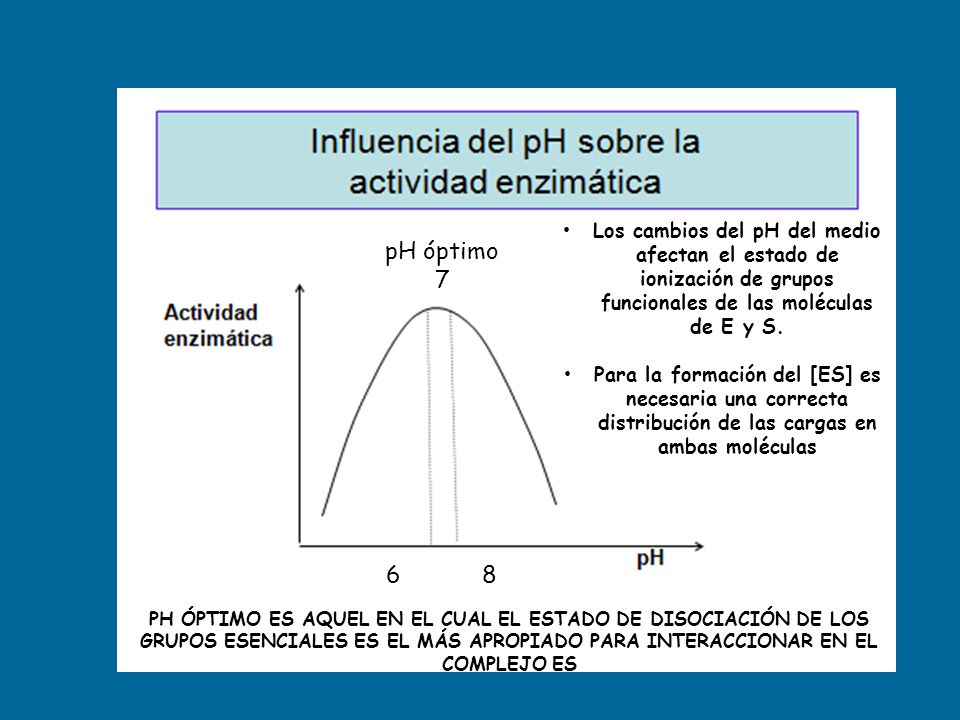 Los cambios del pH del medio afectan el estado de ionización de grupos funcionales de las moléculas de E y S.