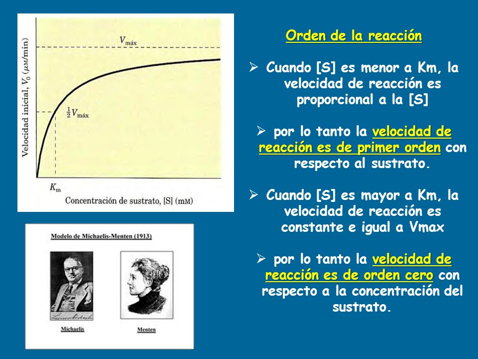 Orden de la reacción Cuando [S] es menor a Km, la velocidad de reacción es proporcional a la [S]