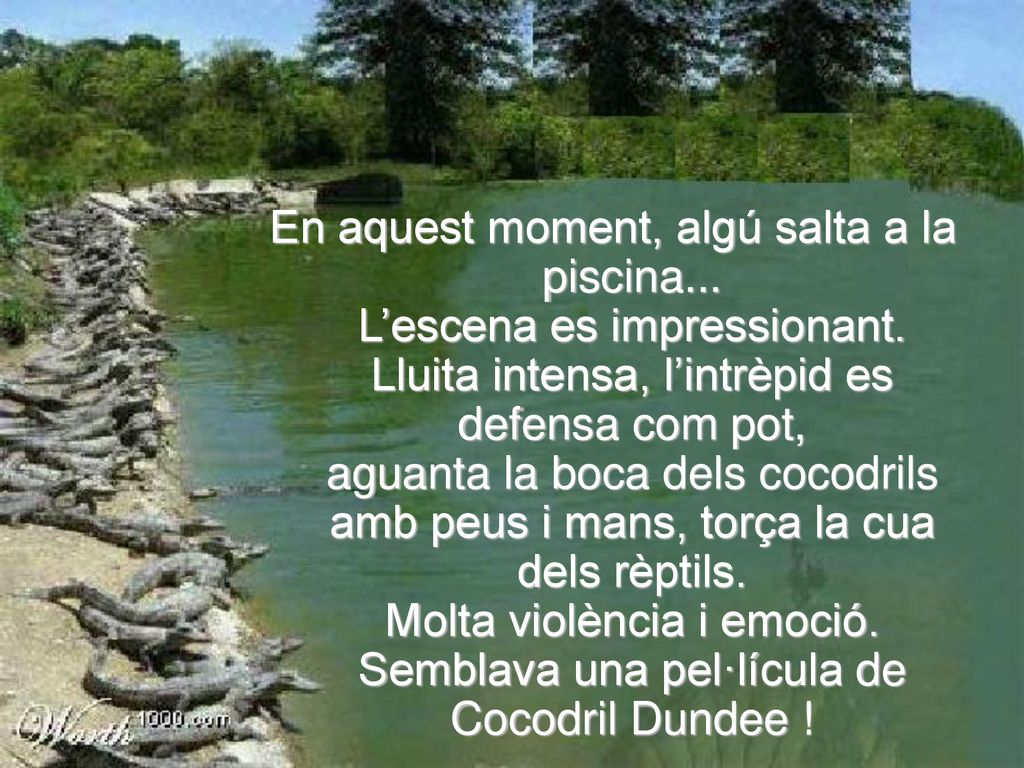 En aquest moment, algú salta a la piscina. L’escena es impressionant