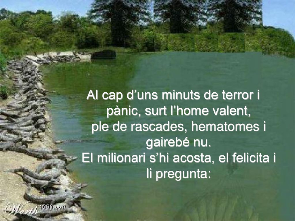 Al cap d’uns minuts de terror i pànic, surt l’home valent, ple de rascades, hematomes i gairebé nu.