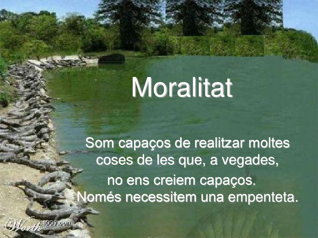 Moralitat Som capaços de realitzar moltes coses de les que, a vegades,
