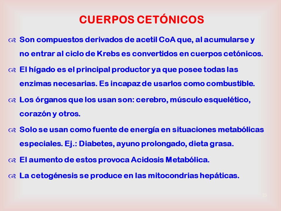 CUERPOS CETÓNICOS Son compuestos derivados de acetil CoA que, al acumularse y no entrar al ciclo de Krebs es convertidos en cuerpos cetónicos.