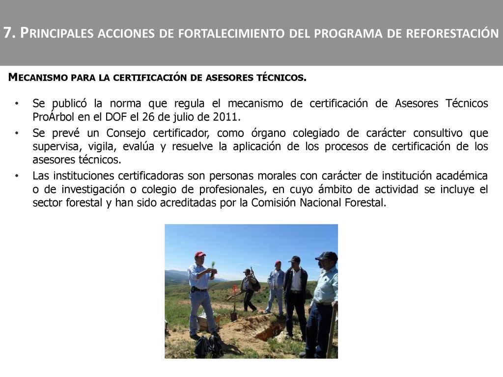 7. Principales acciones de fortalecimiento del programa de reforestación