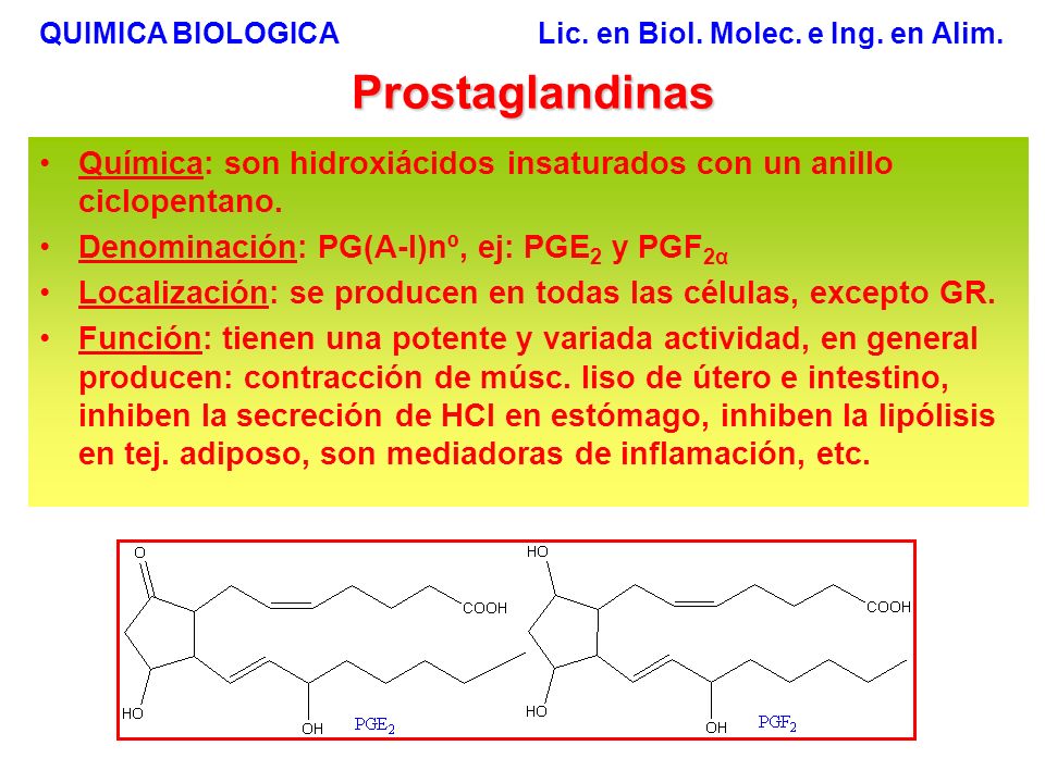 QUIMICA BIOLOGICA Lic. en Biol. Molec. e Ing. en Alim.
