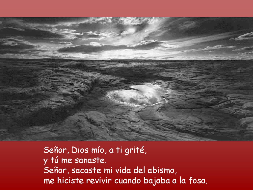 Señor, Dios mío, a ti grité, y tú me sanaste