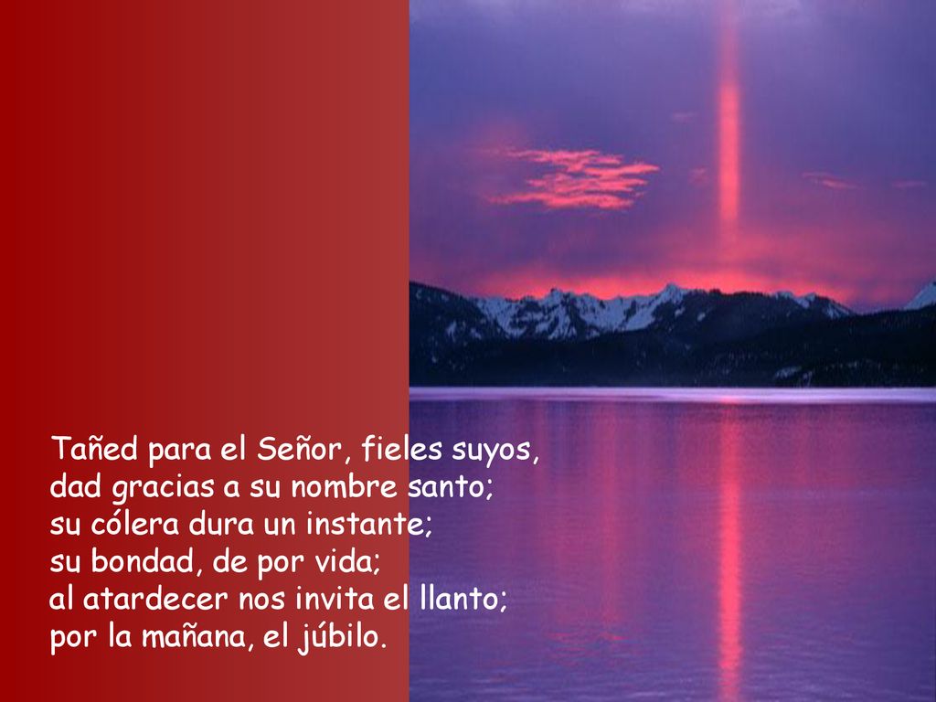 Tañed para el Señor, fieles suyos, dad gracias a su nombre santo; su cólera dura un instante; su bondad, de por vida; al atardecer nos invita el llanto; por la mañana, el júbilo.